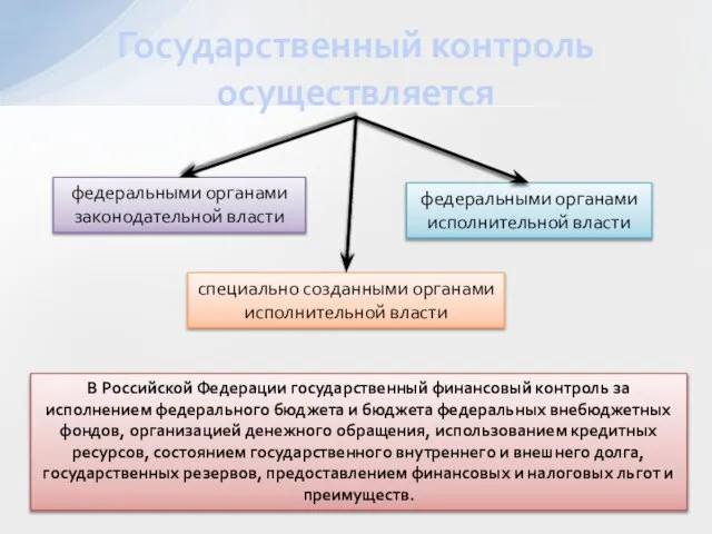 Государственный контроль осуществляется федеральными органами законодательной власти федеральными органами исполнительной власти