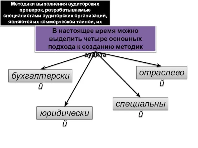 Методики выполнения аудиторских проверок, разрабатываемые специалистами аудиторских организаций, являются их коммерческой