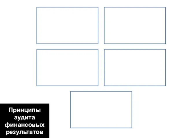 Принципы аудита финансовых результатов