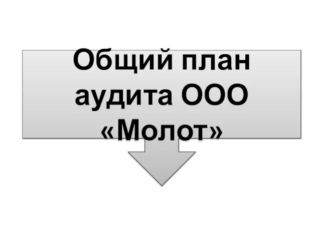 Общий план аудита ООО «Молот»