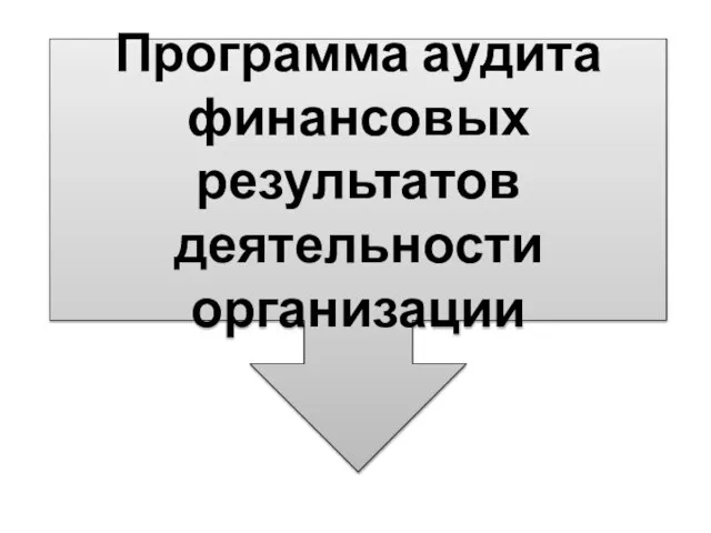 Программа аудита финансовых результатов деятельности организации