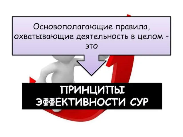 Основополагающие правила, охватывающие деятельность в целом - это ПРИНЦИПЫ ЭФФЕКТИВНОСТИ СУР