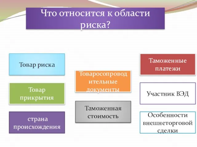 Что относится к области риска? Товар риска Товар прикрытия страна происхождения