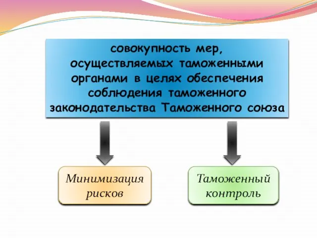 совокупность мер, осуществляемых таможенными органами в целях обеспечения соблюдения таможенного законодательства