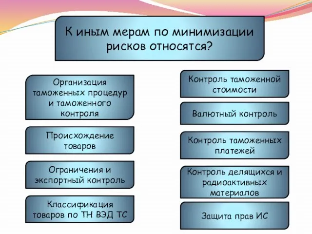 К иным мерам по минимизации рисков относятся? Организация таможенных процедур и