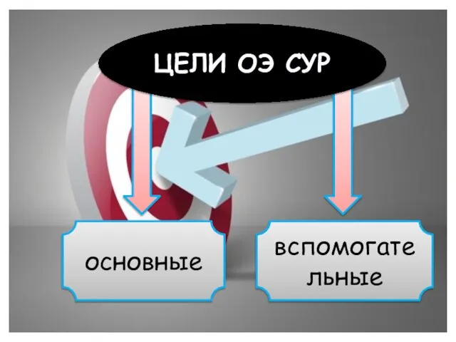 основные вспомогательные ЦЕЛИ ОЭ СУР