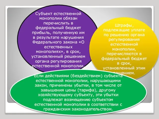 Субъект естественной монополии обязан перечислить в федеральный бюджет прибыль, полученную им