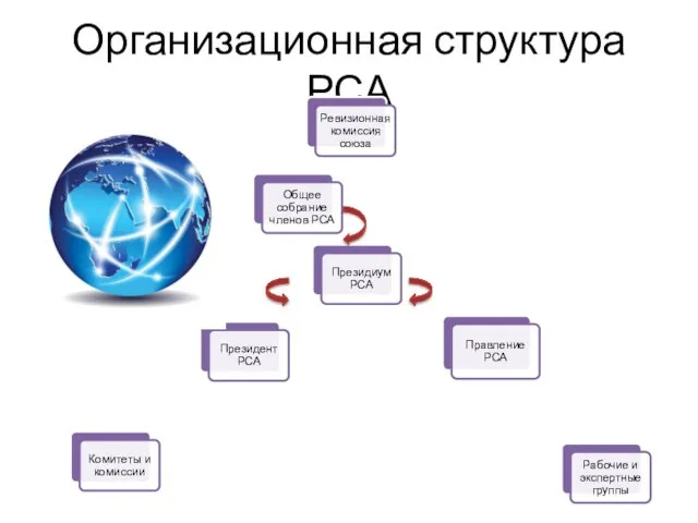 Организационная структура РСА