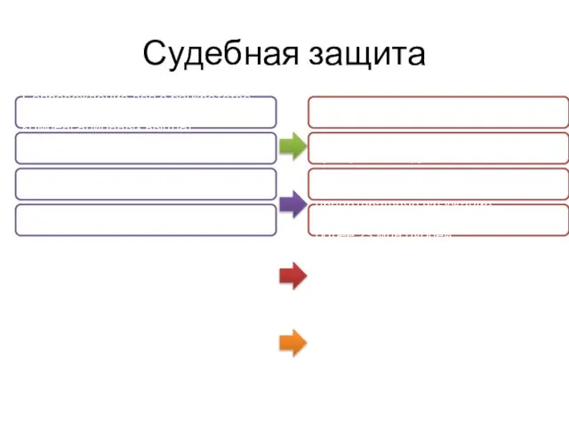 Судебная защита