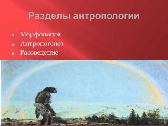 Разделы антропологии Морфология Антропогенез Расоведение