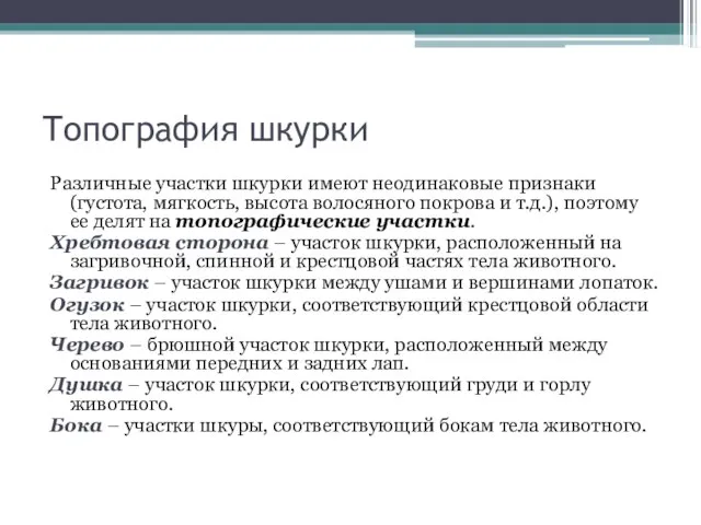 Топография шкурки Различные участки шкурки имеют неодинаковые признаки (густота, мягкость, высота