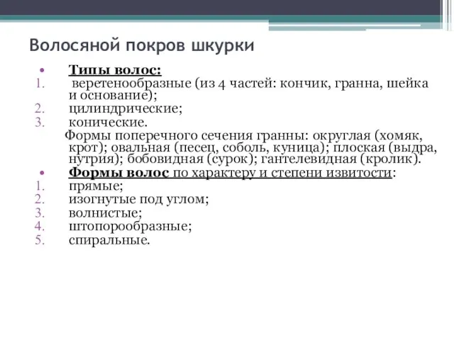 Волосяной покров шкурки Типы волос: веретенообразные (из 4 частей: кончик, гранна,