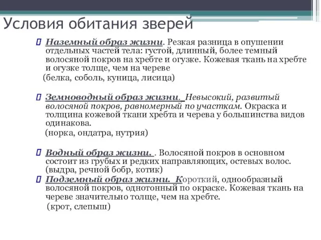 Условия обитания зверей Наземный образ жизни. Резкая разница в опушении отдельных