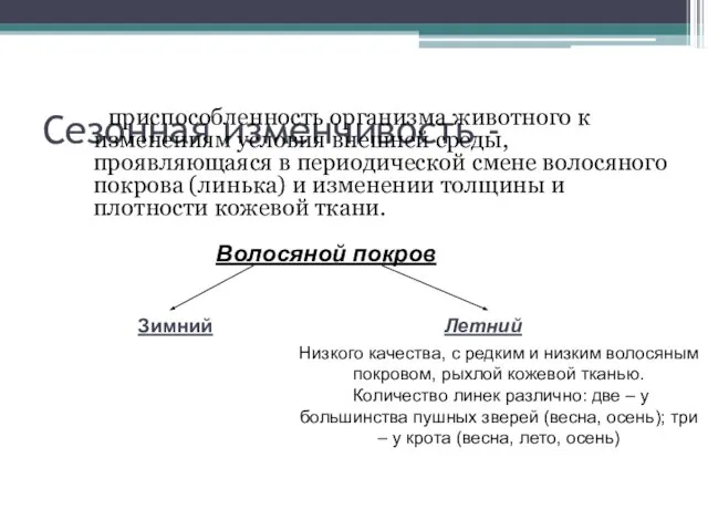 Сезонная изменчивость - приспособленность организма животного к изменениям условия внешней среды,