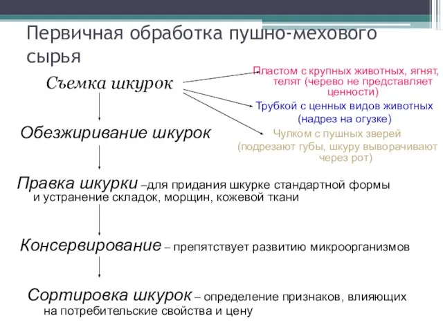 Первичная обработка пушно-мехового сырья Съемка шкурок Пластом с крупных животных, ягнят,