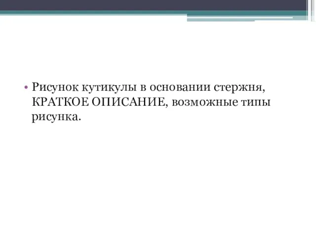 Рисунок кутикулы в основании стержня, КРАТКОЕ ОПИСАНИЕ, возможные типы рисунка.