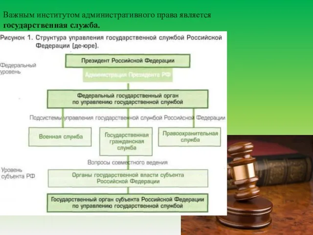 Важным институтом административного права является государственная служба.