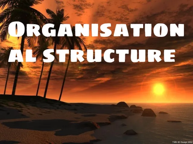 Organisational structure