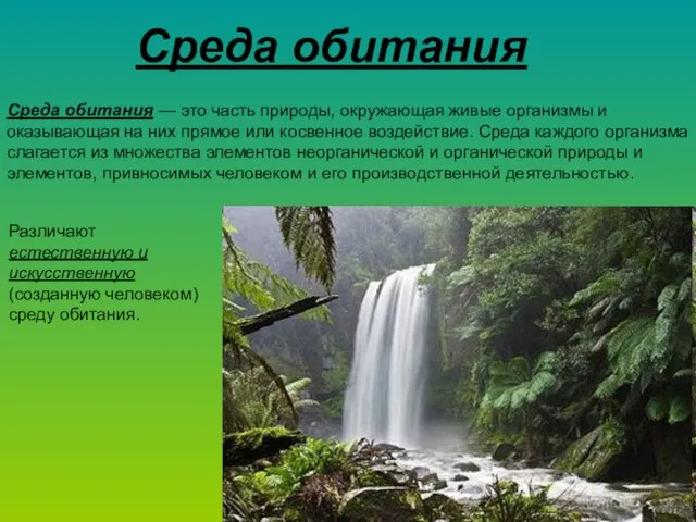 Среда обитания — это часть природы, окружающая живые организмы и оказывающая