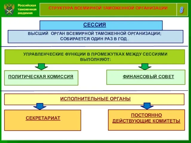 Российская таможенная академия 8 СТРУКТУРА ВСЕМИРНОЙ ТАМОЖЕННОЙ ОРГАНИЗАЦИИ СЕССИЯ ВЫСШИЙ ОРГАН