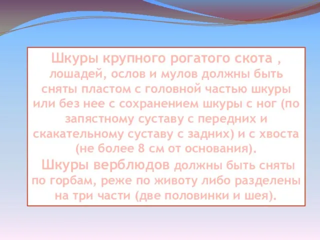 Шкуры крупного рогатого скота , лошадей, ослов и мулов должны быть