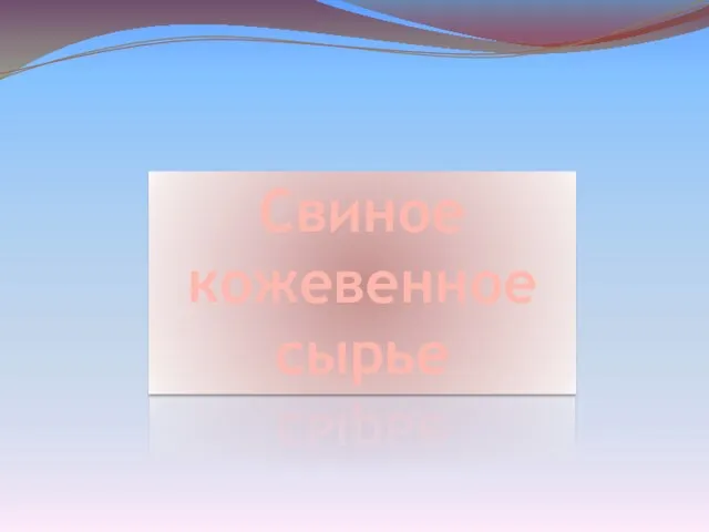 Свиное кожевенное сырье