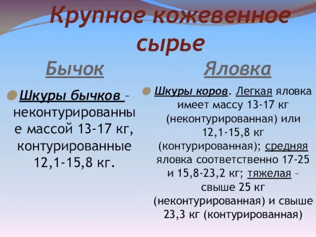 Крупное кожевенное сырье Бычок Яловка Шкуры бычков – неконтурированные массой 13-17