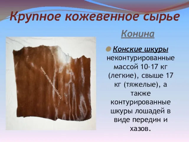 Крупное кожевенное сырье Конина Конские шкуры неконтурированные массой 10-17 кг (легкие),