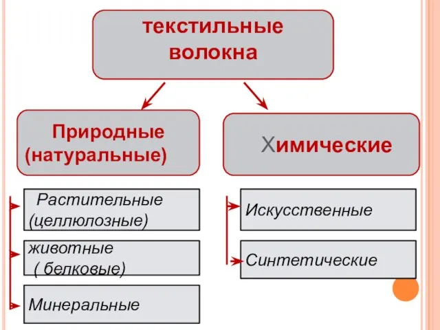 текстильные волокна Природные (натуральные) Химические Растительные (целлюлозные) животные ( белковые) Минеральные Искусственные Синтетические