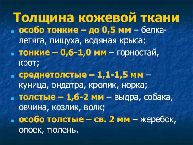 Толщина кожевой ткани особо тонкие – до 0,5 мм – белка-летяга,