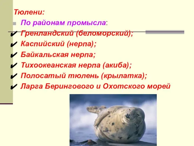 Тюлени: По районам промысла: Гренландский (беломорский); Каспийский (нерпа); Байкальская нерпа; Тихоокеанская