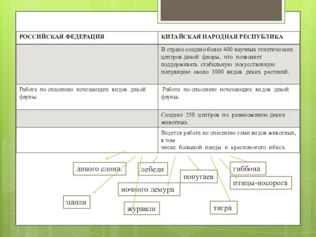 лебеди попугаев птицы-носорога ночного лемура гиббона тигра дикого слона. цапли журавли