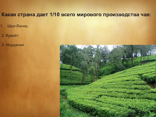 Какая страна дает 1/10 всего мирового производства чая: Шри-Ланка; 2. Кувейт; 3. Иордания.