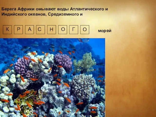 Берега Африки омывают воды Атлантического и Индийского океанов, Средиземного и К