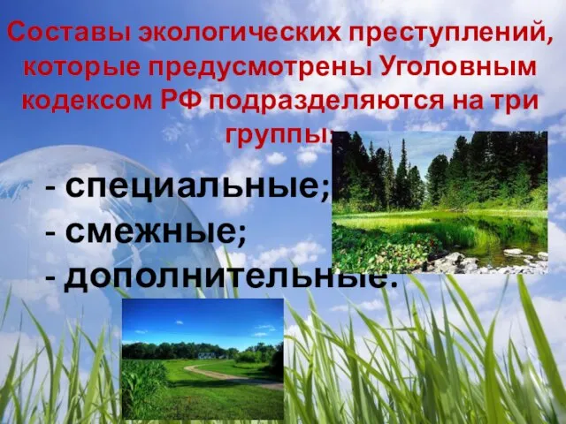Составы экологических преступлений, которые предусмотрены Уголовным кодексом РФ подразделяются на три