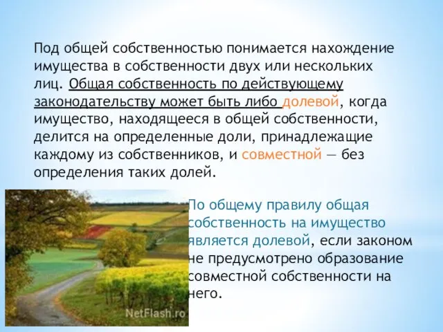 Под общей собственностью понимается нахождение имущества в собственности двух или нескольких