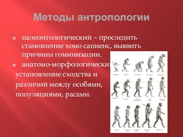 Методы антропологии палеонтологический – проследить становление хомо сапиенс, выявить причины гоминизации.