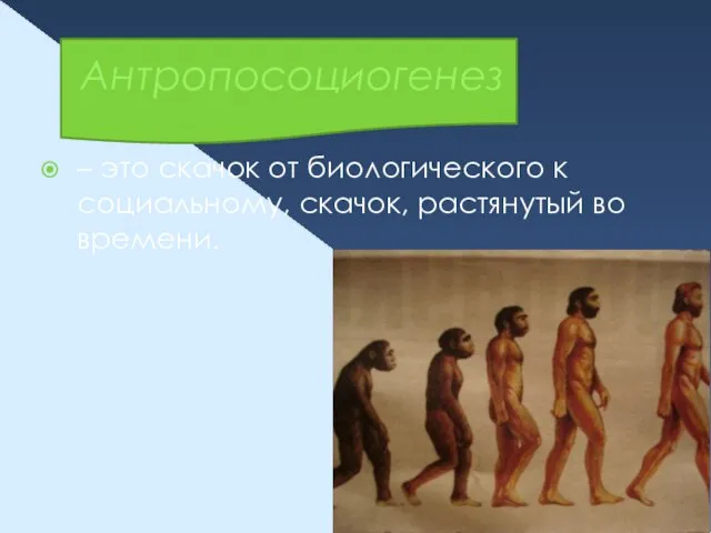 Антропосоциогенез – это скачок от биологического к социальному, скачок, растянутый во времени.