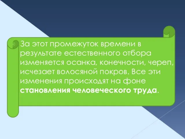 За этот промежуток времени в результате естественного отбора изменяется осанка, конечности,