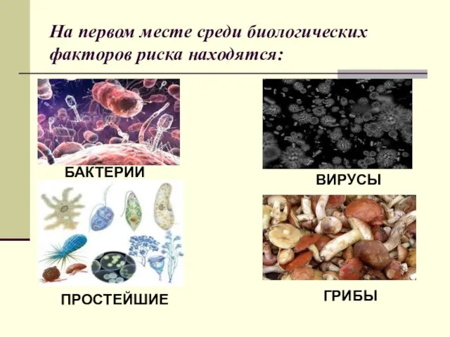 На первом месте среди биологических факторов риска находятся: БАКТЕРИИ ВИРУСЫ ПРОСТЕЙШИЕ ГРИБЫ