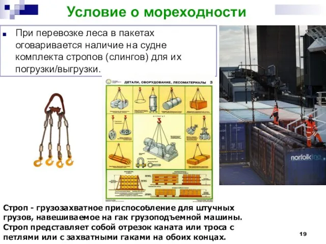 Условие о мореходности При перевозке леса в пакетах оговаривается наличие на