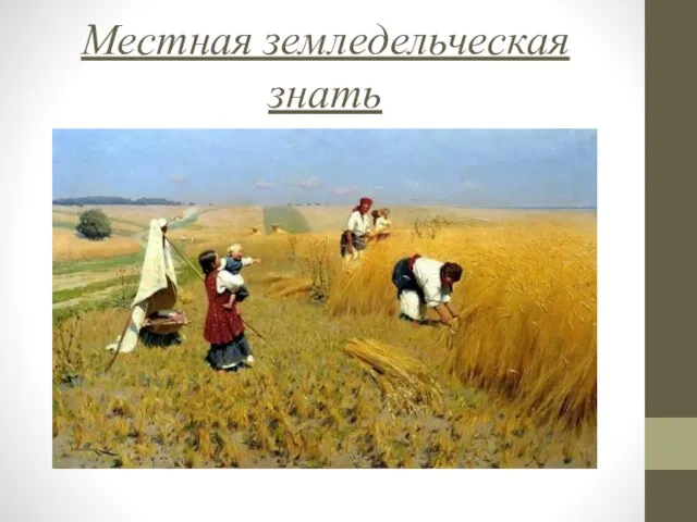 Местная земледельческая знать