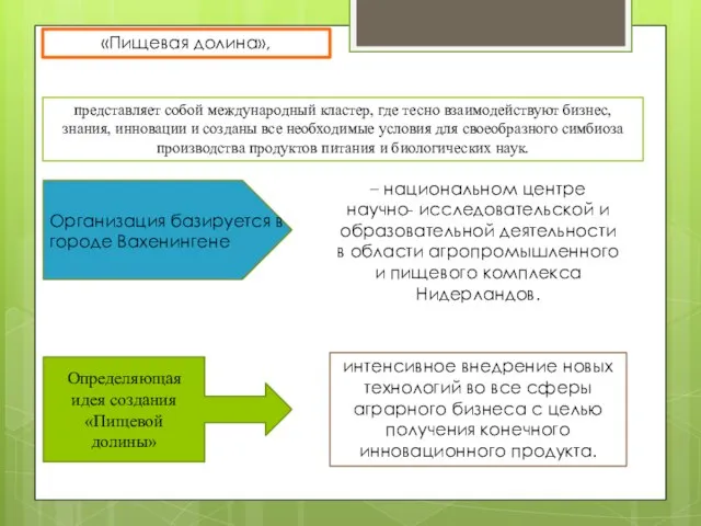 «Пищевая долина», представляет собой международный кластер, где тесно взаимодействуют бизнес, знания,