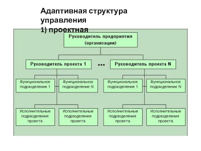 Адаптивная структура управления 1) проектная