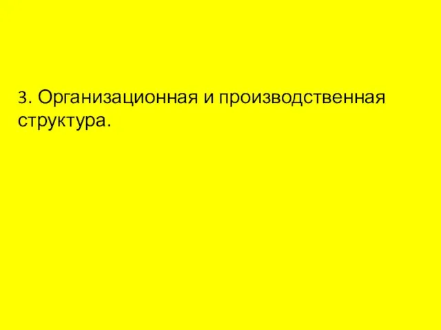 3. Организационная и производственная структура.