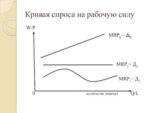 Кривая спроса на рабочую силу W/P MRP2 = Д3 MRP1= Д2