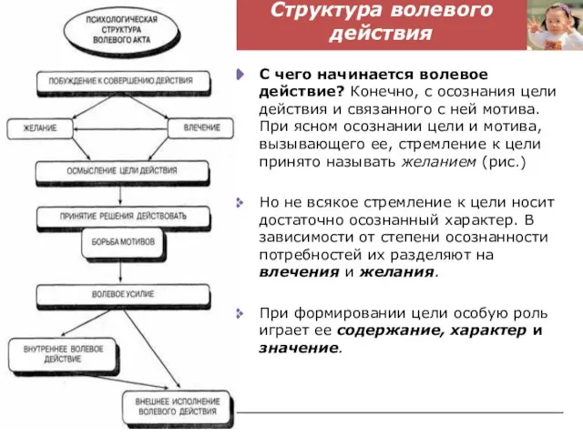 Структура волевого действия С чего начинается волевое действие? Конечно, с осознания