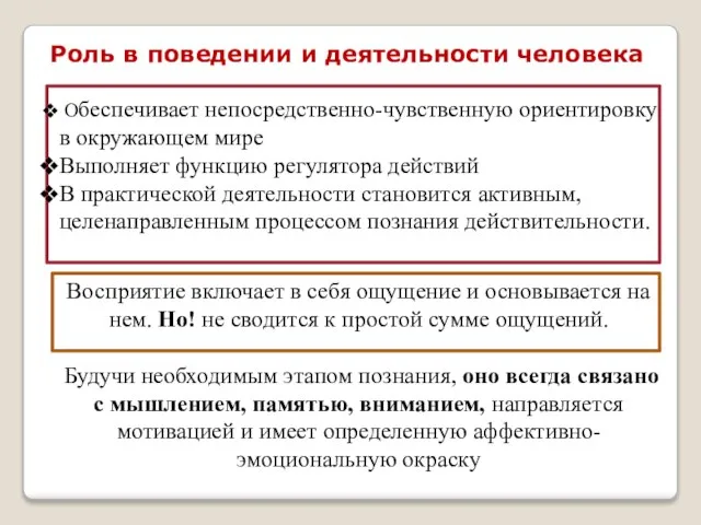 Роль в поведении и деятельности человека Обеспечивает непосредственно-чувственную ориентировку в окружающем