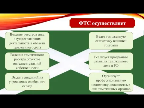 ФТС осуществляет Ведение реестров лиц, осуществляющих деятельность в области таможенного дела