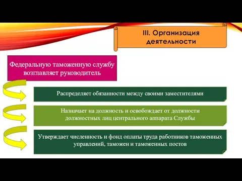 III. Организация деятельности Федеральную таможенную службу возглавляет руководитель Распределяет обязанности между